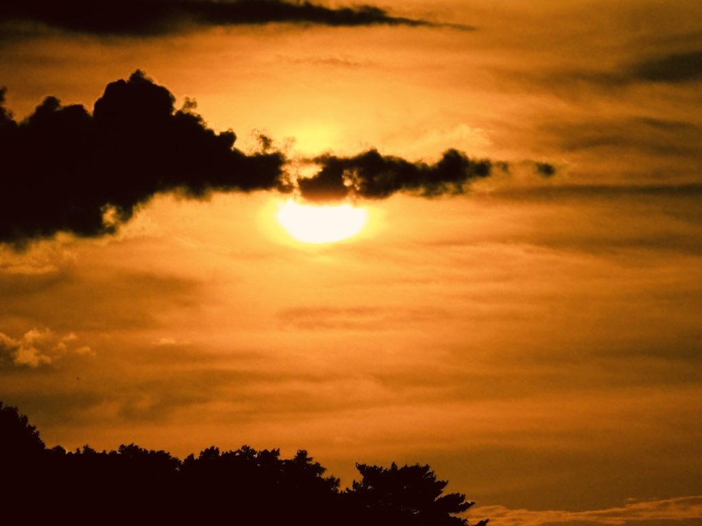 Delight is Darkness as much as Light
Happy #Diwali #Diwali2025 #Deepavali #Kalipuja