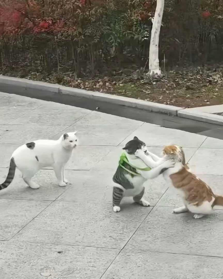 귀여운 가방 메고 어딜 가나요