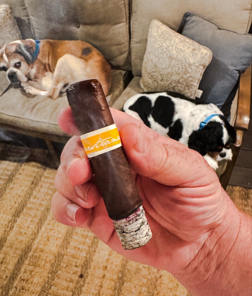 stogiedad's tweet photo. Winding down the weekend with a little #smoke…@SmokeRoMA #RomaCraft Maestranza. You know #SmokeRoMa never fails! @RoMaCraft #nowsmoking #CigarLife #CigarsOnX https://t.co/V4cRhtJonP