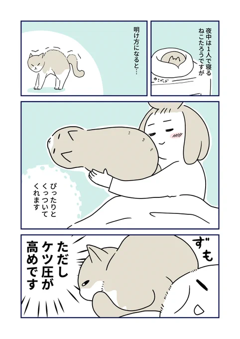 明け方は圧が高め 