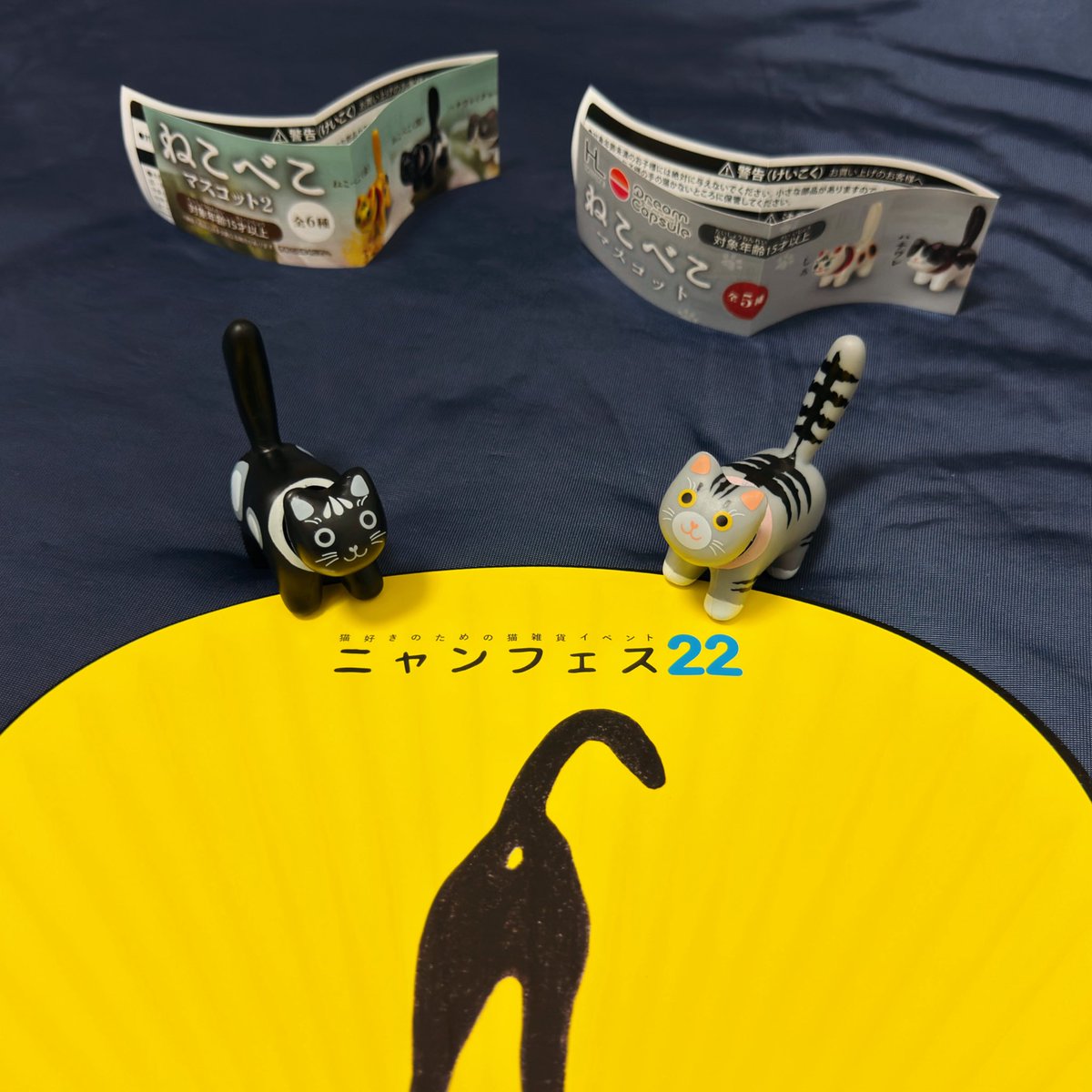 猫に真珠🐾張り子人形🐾 (@Neko_ni_Pearl) / Posts / X