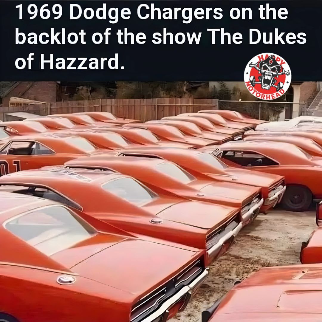 HappyMotorhead's tweet image. ♦️🔸️💎🔸️♦️🔹️💎🔹️♦️🔸️💎🔸️♦️
🤪 #RememberWhen 😕
😁 #humor 🤣