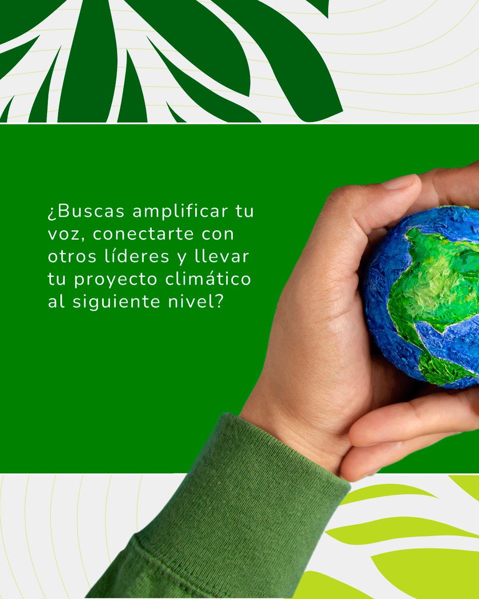 UEenMexico's tweet image. 📣 ¿Quieres ser parte de la red de #JóvenesEmbajadoresUEMX?

¡Postúlate y sé parte del cambio!

Consulta nuestra convocatoria: 
📲 link.europa.eu/jJvhtY

🗓️ ¡Tienes hasta el 10 de noviembre!

#ForOurPlanet #GreenTransition #EUForeignPolicy