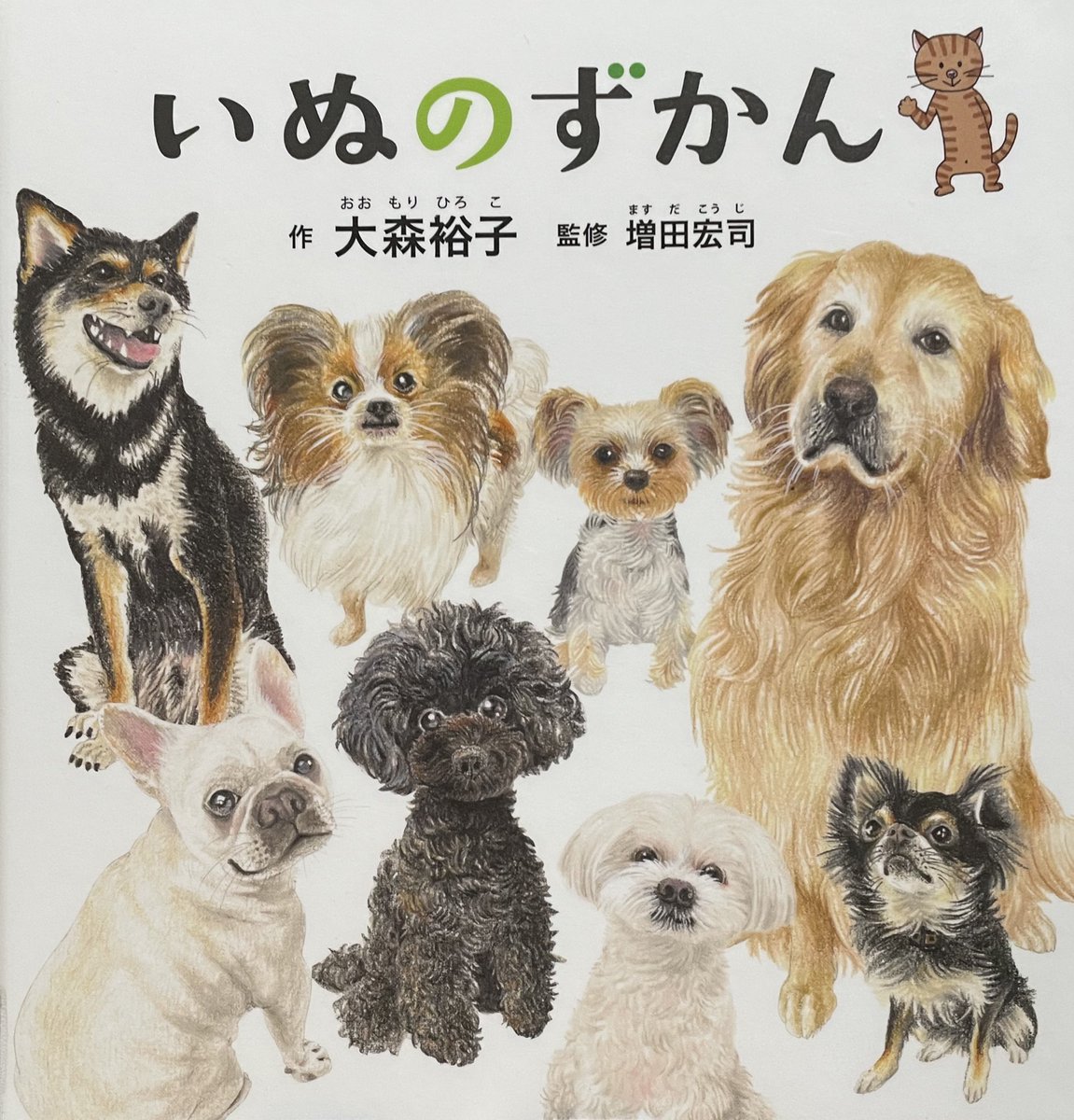 いぬのずかん
作 大森裕子
監修 増田宏司
コドモエのえほん
白泉社

いぬってどんな動物なのでしょう
いぬのからだの解説やいぬの種類
いぬの鳴き声やしっぽの振り方によって表される感情なども解説してあります
いぬについて より詳しくなれますよ

＃絵本・児童書の本棚
