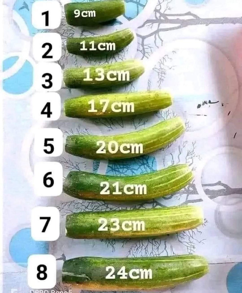 Diego and salma tweet media