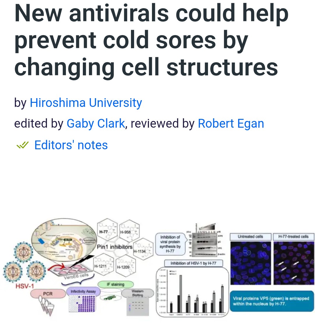 Herpes virus sucks. Most people are infected with HSV-1 in childhood, and between 50% and 90% of people worldwide have HSV-1. 

After the initial infection, HSV-1 remains in the body and can reactivate throughout a person's life.

We're getting closer to finally having a cure.