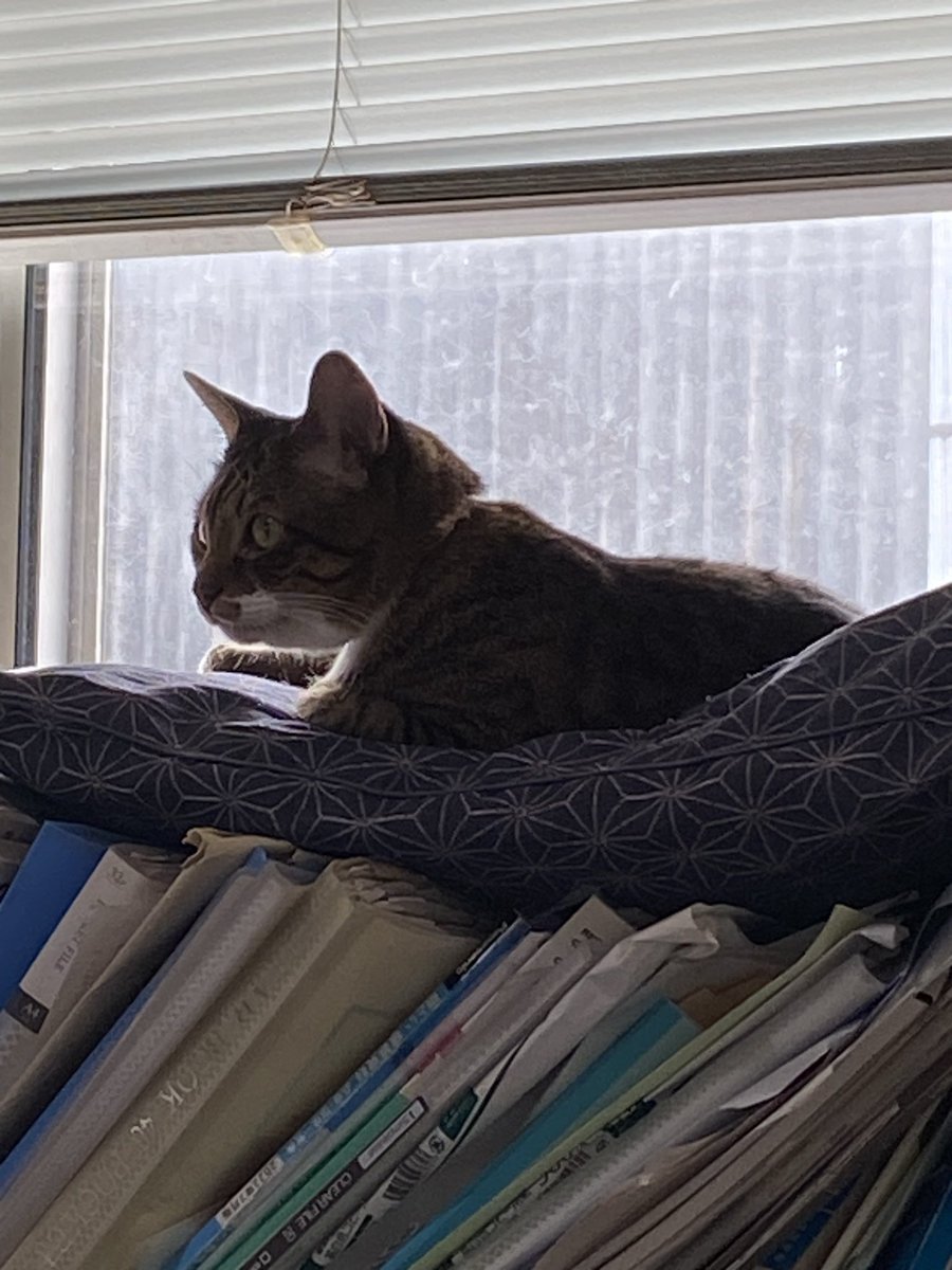 ちぃ先輩💜☀️🐢💖🌹🍯🐝 on X