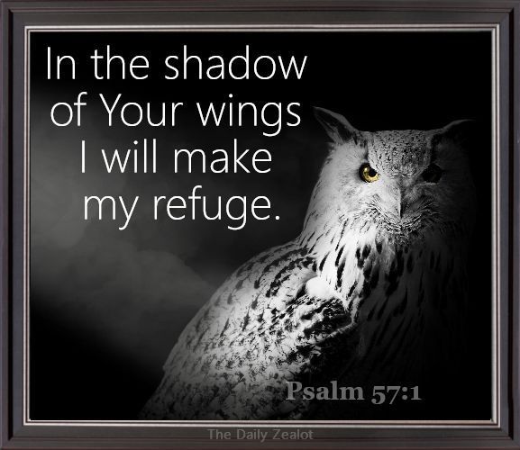 May your hope and trust be found under the protection of God’s mercy. Enjoy the night, rest well .... and pray. 🙏 #WeBelieve
