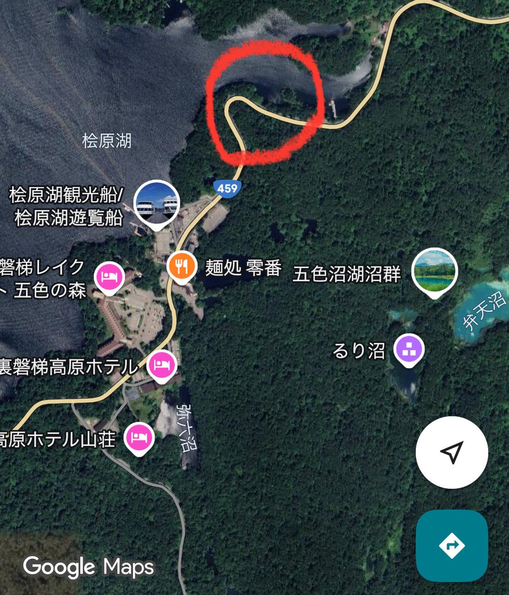 裏磐梯情報 #熊目撃情報 10月20日 (月) 桧原湖南側、道路上にて熊が