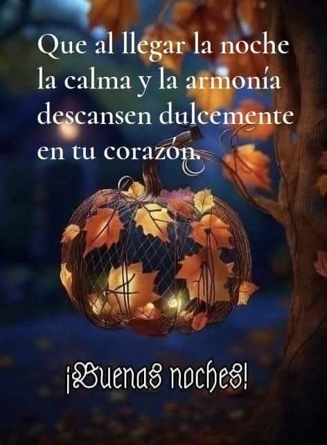 Cattleya_Soy tweet media