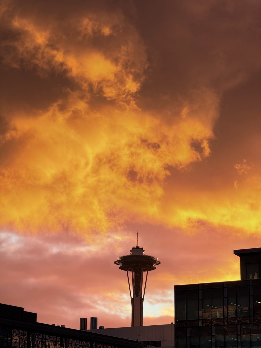 Nate (@natebek) on Twitter photo 