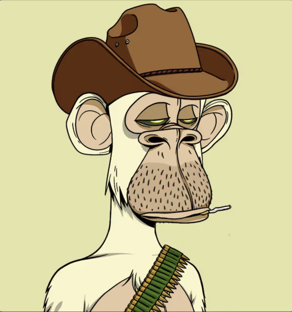 Del Broko tweet media