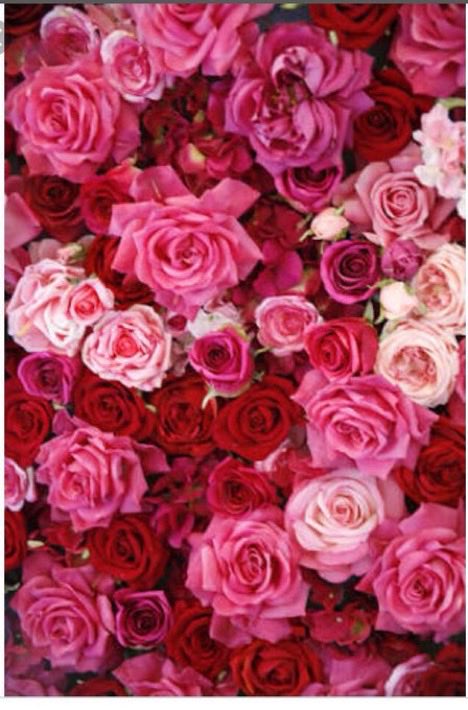 $ÎTÂRÂ_$TAR💫🌟 (@sitaravirgo) on Twitter photo #SuperFriends
#TopFriends
#TmGriffins
#EliFriends
<a href="/nbea_h/">#𝕾𝖚𝖕𝖊𝖗𝕱𝖗𝖎𝖊𝖓𝖉𝖘 #𝕿𝖔𝖕𝕱𝖗𝖎𝖊𝖓𝖉𝖘</a>
<a href="/Da__Eliz/">Eli👸</a>
<a href="/Aa_ban1/">▄︻ #TmGriffins🦅︻▄</a>
<a href="/Jamesspencer211/">James Spencer #GAINWITHPETAL #TMPETAL #Teamspirit</a>
<a href="/DianeElQueen/">🌹Diane🌹</a>
<a href="/kittymayo7101/">#BossLady 👑</a>
<a href="/MARIALUISAMAR5/">MARIA LUISA</a>
<a href="/SonyaAmriani/">Sonya.Amriani</a>
<a href="/RobertPage68/">👉Robert👈 〰️#EliFriends〰️</a>
<a href="/FlorMeninnaa/">Regina Dua Lipa Brasil</a>
<a href="/S2_CarlaS2/">꧁༺Carla༻꧂#EliFriends🇧🇷★✼☆</a>
<a href="/xslhi/">Gains عداد المتابعين صلحي🥊🔥</a>
<a href="/_MaryEly_/">💛 𑜞᭄ MaryEly🌻</a> <a href="/Zar_43/">ZARRAR ضرار #ΛᒪBΛЯQ⚡@𝙕𝙖𝙧_𝟰𝟯</a>
<a href="/jasmine50012486/">🌼࿐♡ᒍᗩSⓂ️İᘉᕮ🌼。・゚♡゚</a>
<a href="/GRAHAM15583/">🅶🆁🅰🅷🅰🅼</a>
<a href="/sitaravirgo/">$ÎTÂRÂ_$TAR💫🌟</a> #SuperFriends
#TopFriends
#TmGriffins
#EliFriends
<a href="/nbea_h/">#𝕾𝖚𝖕𝖊𝖗𝕱𝖗𝖎𝖊𝖓𝖉𝖘 #𝕿𝖔𝖕𝕱𝖗𝖎𝖊𝖓𝖉𝖘</a>
<a href="/Da__Eliz/">Eli👸</a>
<a href="/Aa_ban1/">▄︻ #TmGriffins🦅︻▄</a>
<a href="/Jamesspencer211/">James Spencer #GAINWITHPETAL #TMPETAL #Teamspirit</a>
<a href="/DianeElQueen/">🌹Diane🌹</a>
<a href="/kittymayo7101/">#BossLady 👑</a>
<a href="/MARIALUISAMAR5/">MARIA LUISA</a>
<a href="/SonyaAmriani/">Sonya.Amriani</a>
<a href="/RobertPage68/">👉Robert👈 〰️#EliFriends〰️</a>
<a href="/FlorMeninnaa/">Regina Dua Lipa Brasil</a>
<a href="/S2_CarlaS2/">꧁༺Carla༻꧂#EliFriends🇧🇷★✼☆</a>
<a href="/xslhi/">Gains عداد المتابعين صلحي🥊🔥</a>
<a href="/_MaryEly_/">💛 𑜞᭄ MaryEly🌻</a> <a href="/Zar_43/">ZARRAR ضرار #ΛᒪBΛЯQ⚡@𝙕𝙖𝙧_𝟰𝟯</a>
<a href="/jasmine50012486/">🌼࿐♡ᒍᗩSⓂ️İᘉᕮ🌼。・゚♡゚</a>
<a href="/GRAHAM15583/">🅶🆁🅰🅷🅰🅼</a>
<a href="/sitaravirgo/">$ÎTÂRÂ_$TAR💫🌟</a>