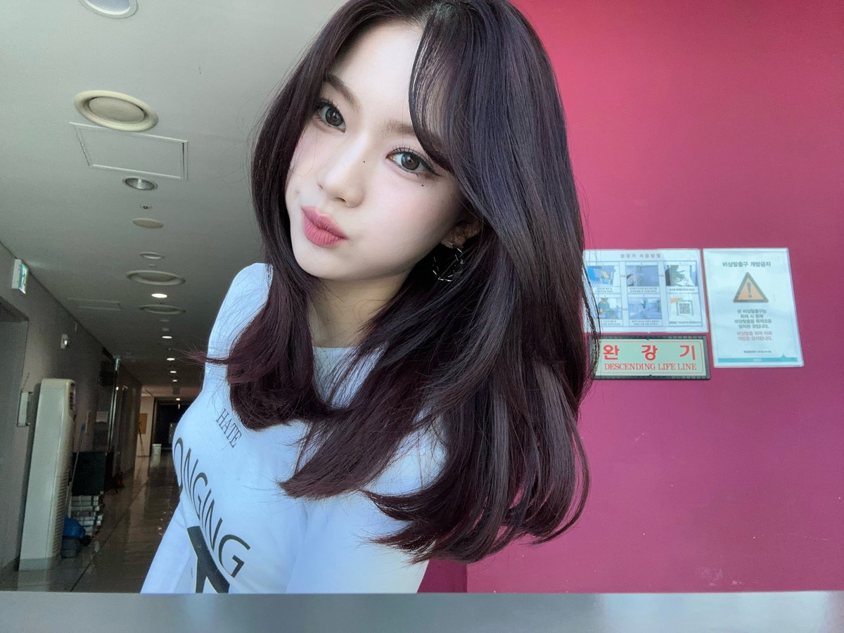 fleurswith's tweet image. chaerongie update 🫧