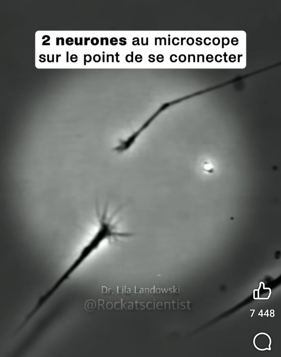 Bright_Adhara's tweet image. 