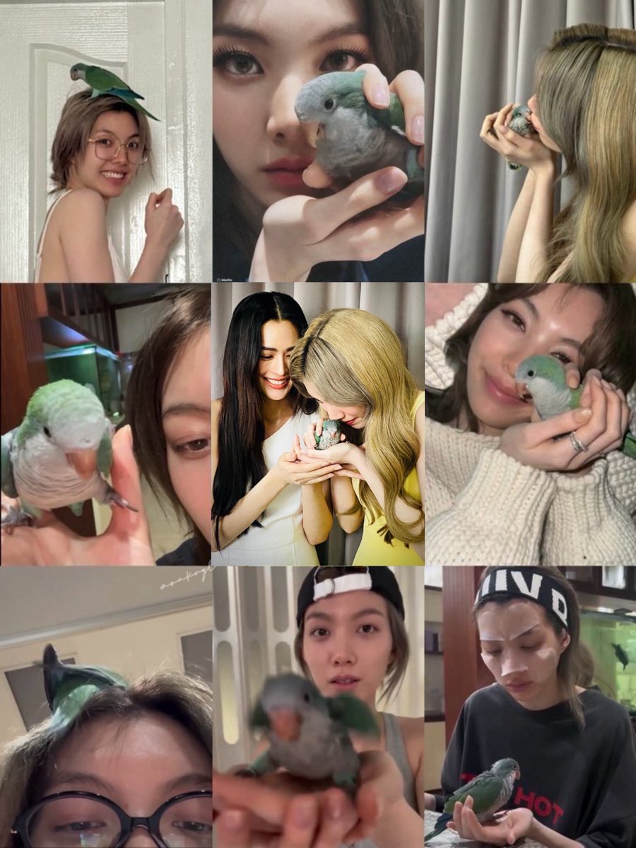 Sikmo4's tweet image. I still can't process everything... I lay awake, unable to sleep the whole night.
Only now do I see it. Behind those smiles, N'Orm and P'Ling were hiding their own heartache, and that just breaks my heart even more.
Looking back at the selfies with P'Ling and N'Orm fills me…