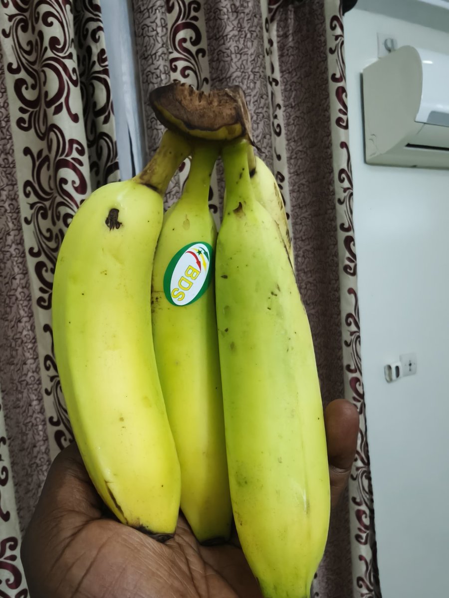 🇸🇳🍌 Acheter des bananes à l’heure actuelle, c’est soutenir la production locale !

Depuis le 1er septembre 2025, le Sénégal a suspendu les importations de bananes pour permettre à nos producteurs de mieux écouler leur production nationale.
Aujourd’hui, les zones de Tambacounda,