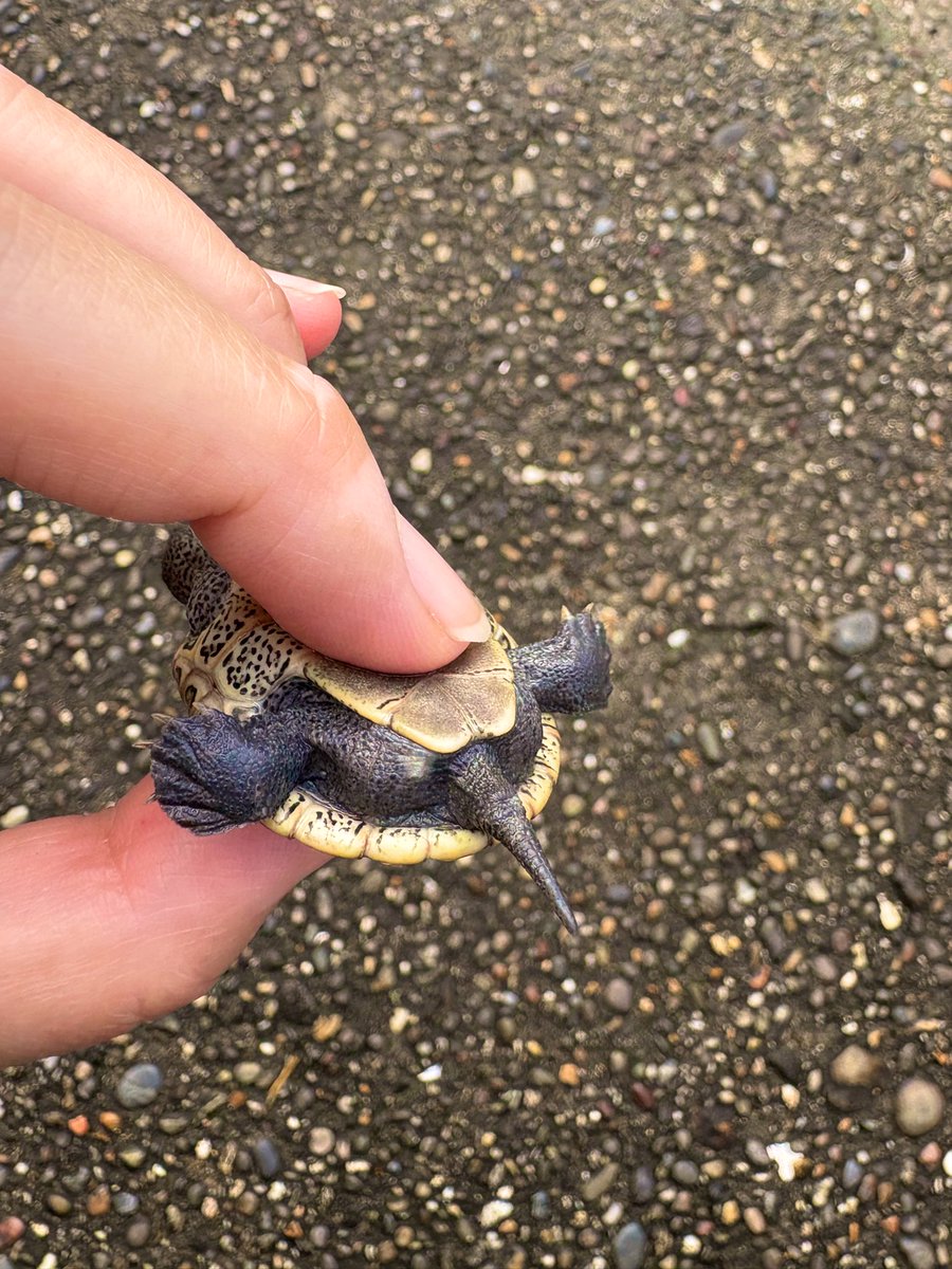 ちっちゃ！！