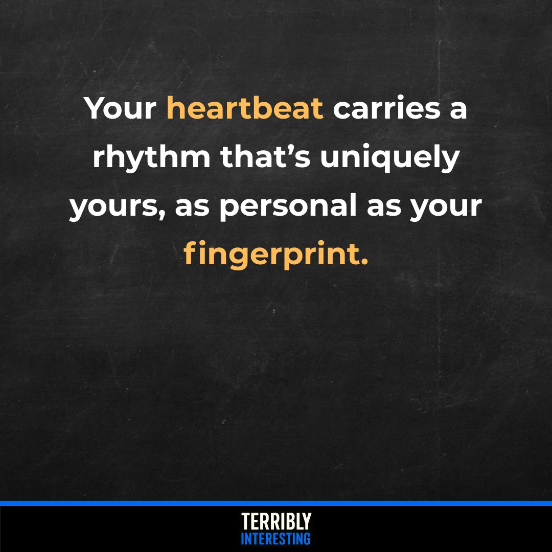 Your heartbeat is as unique as your fingerprint. Its electrical pattern shifts with every emotion, movement, and breath, yet the rhythm remains distinct to you alone
