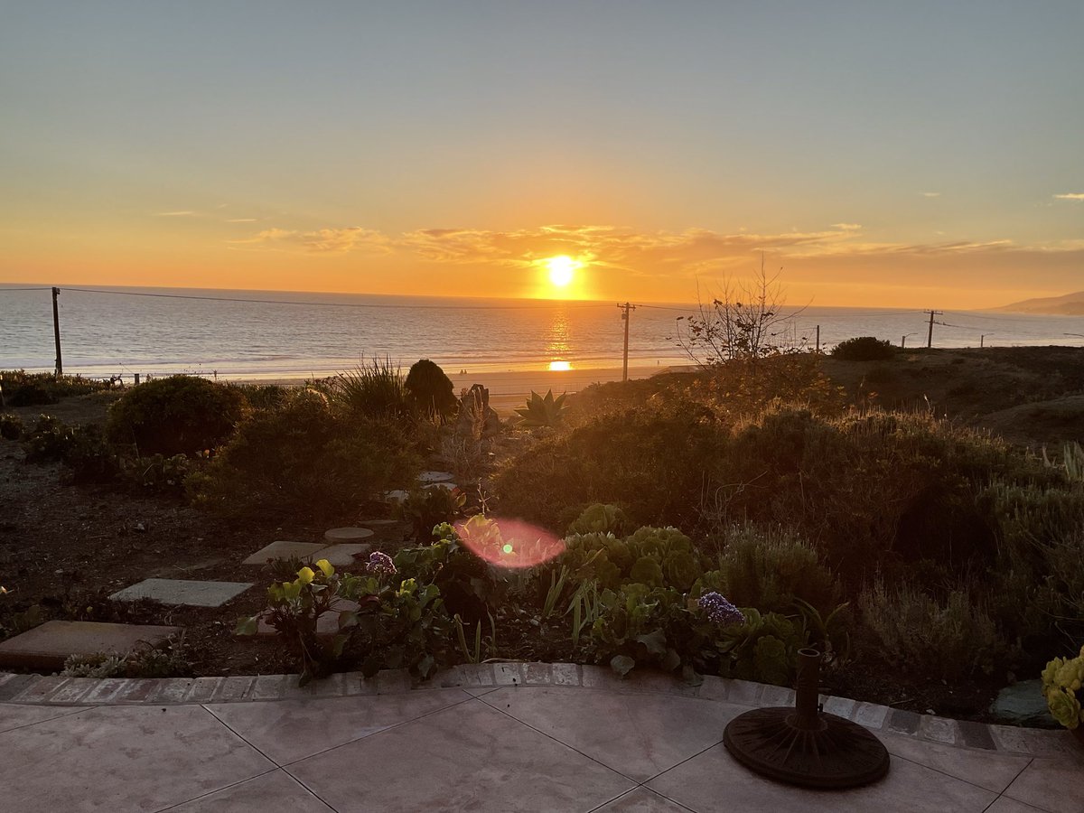 Good night to all my Twitter friends. Tomorrow will be a new day to fight for democracy. 
#NoKingsInAmerica 
#DemocracyIsWorthFightingFor