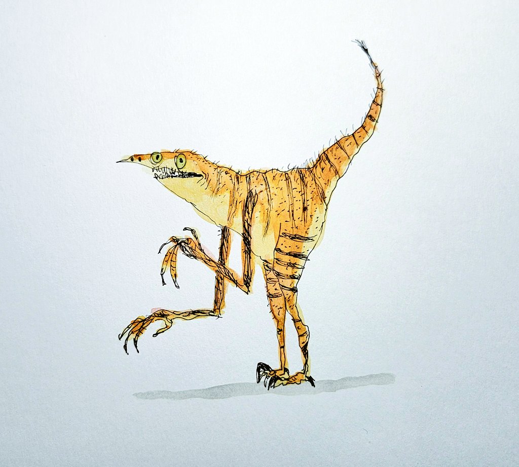 KyleBeautweet's tweet image. Velociraptor
