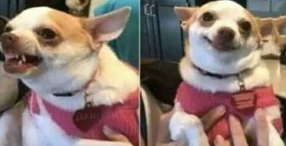 Metete el visto en el ort...
Awww...ahí está escribiendo