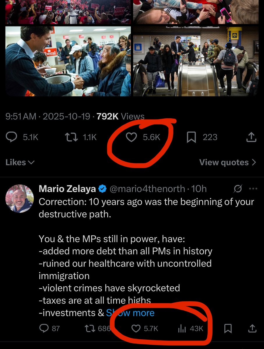 mario4thenorth's tweet image. The best thing for Trudeau is:

For him to lose his grey checkmark,

Enjoy the sun with Katy Perry,

And keep his mouth shut.