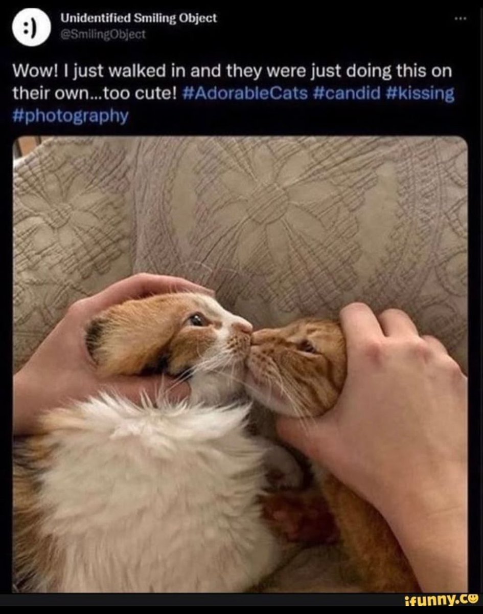 Type of shit Lloyd tried to pull off