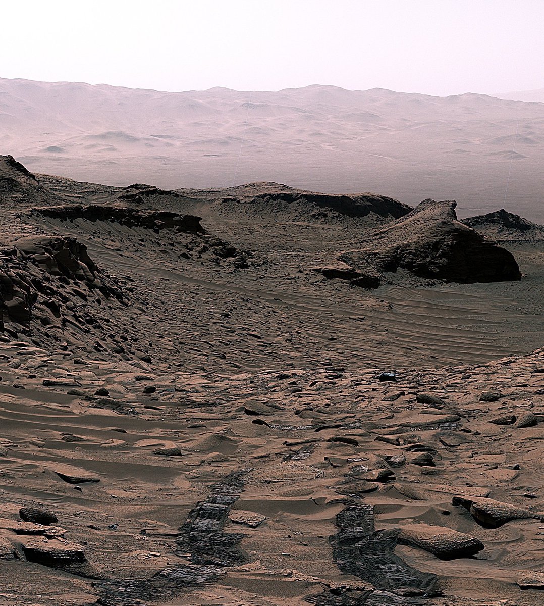 AIcodexaa's tweet image. Making life possible on Mars, or making earth peaceful and Greenery, which one @elonmusk should focus on?