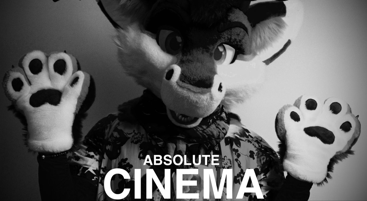 🐲 FluffyCyritz tweet media