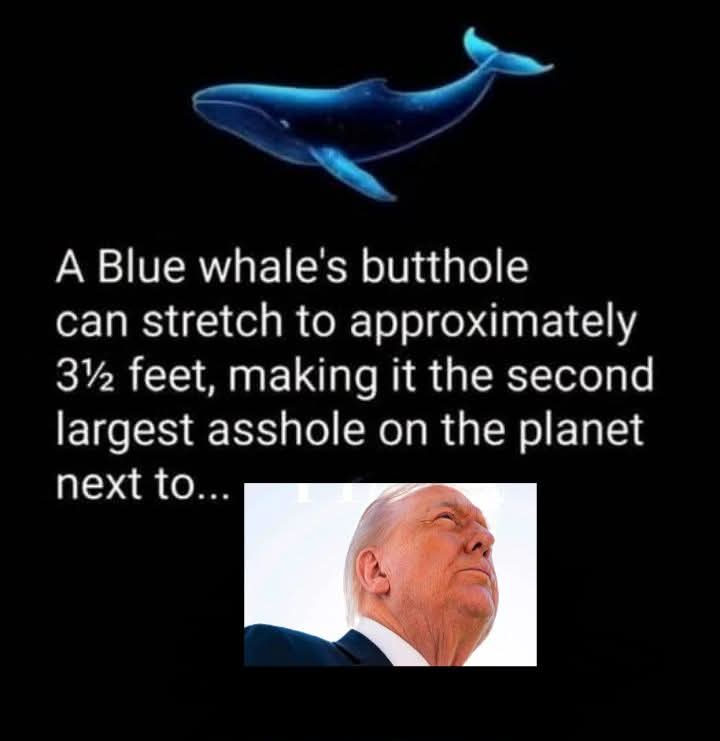 CaptSmartazz89's tweet photo. @realDonaldTrump https://t.co/BAIDJO2QuZ