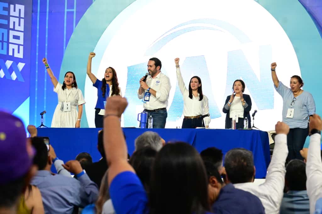 PAN CDE Guanajuato tweet media