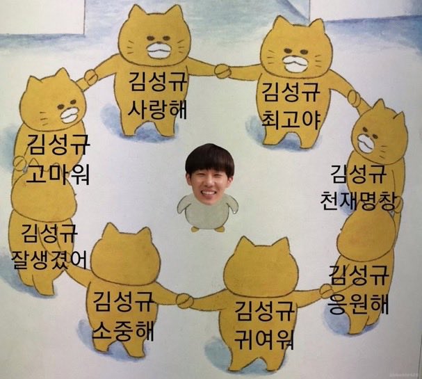 Sungkyu Protection Squad.
김성규 사랑해.