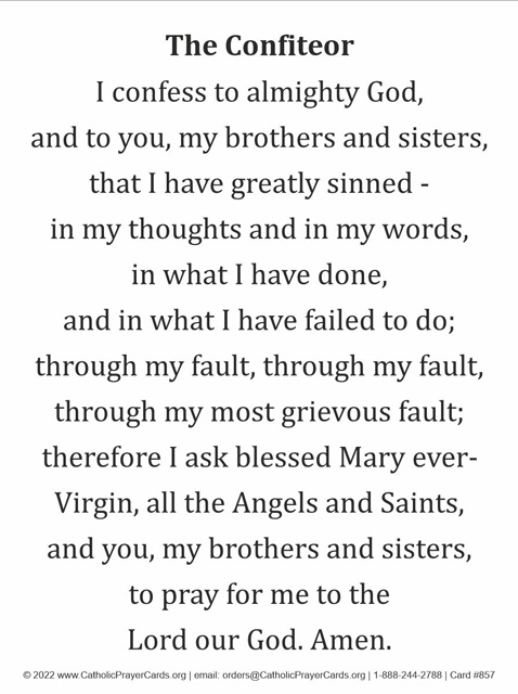 shagbark_hick's tweet image. Why so some Churches do this at every Mass and some do not?
I am always startled when it is omitted, and walk away asking: "why would anyone ever want to omit this from the Mass?"