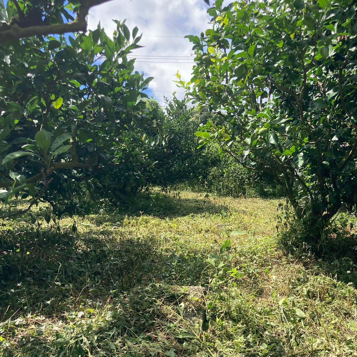 9/1-9/30 (물고기 마음, 해적방송) mulgogi.net/archives/27541