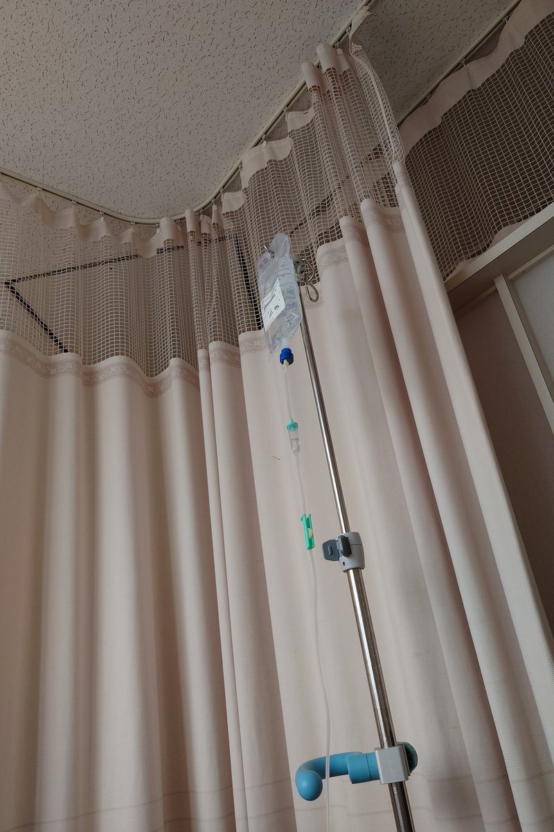 さよならうめちゃん！
手術は午後からですが、ここでひとまず。では。