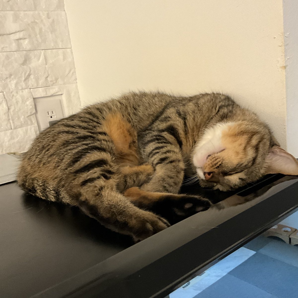 Ꮇ☆きらきらページ きらきら☆ on X