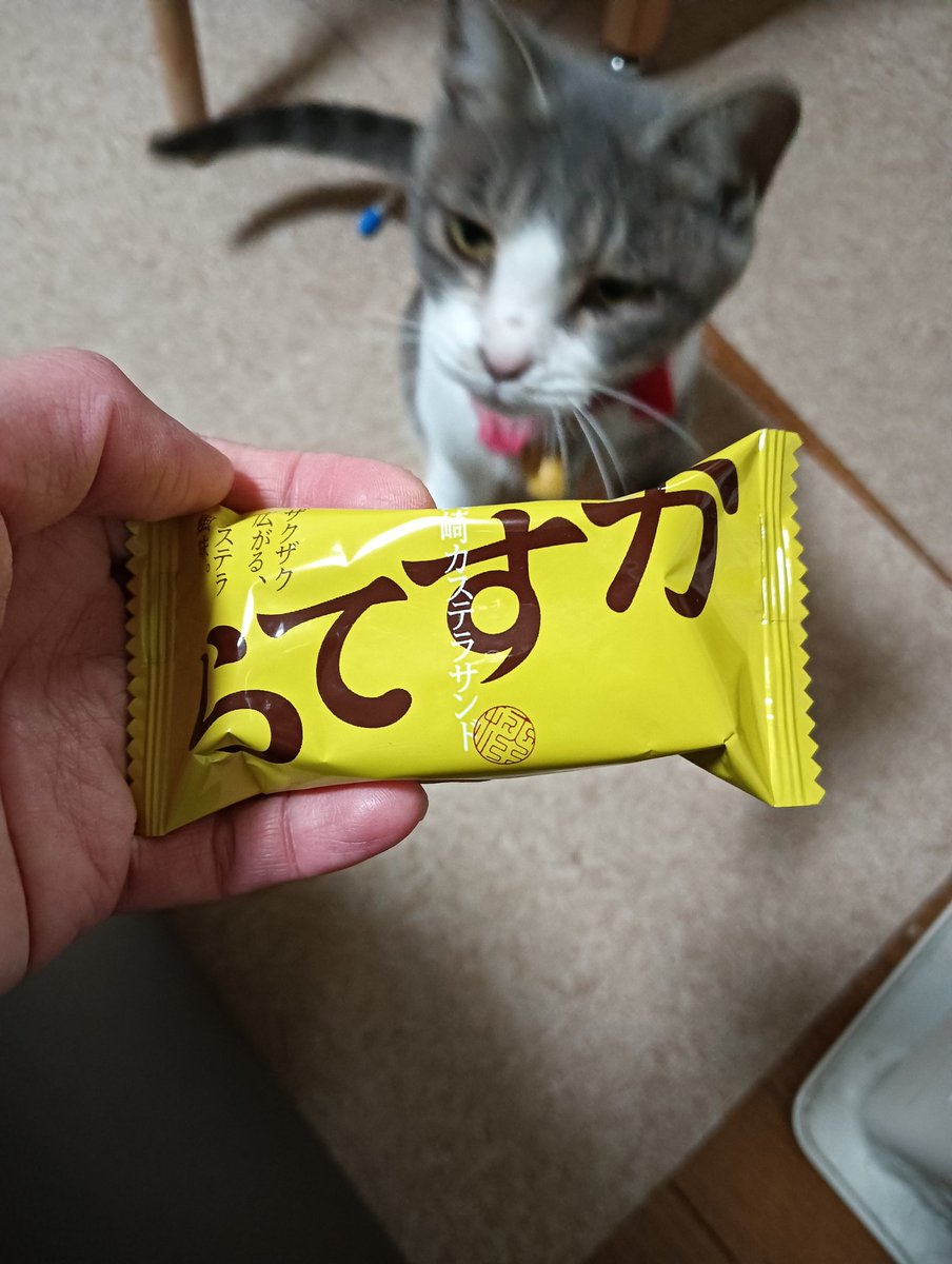 ぴーなっつ　プロフご覧ください みかんの飼い主 on X