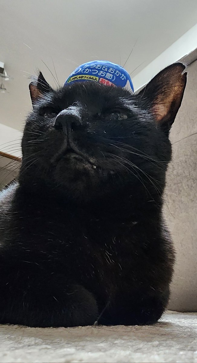 愛桜 (@menou77) / Posts / X