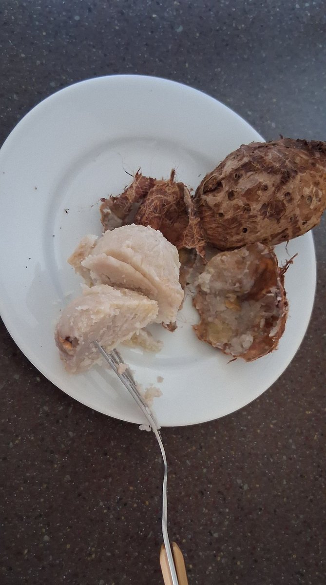 Mbothee jawa  tau gak 😅