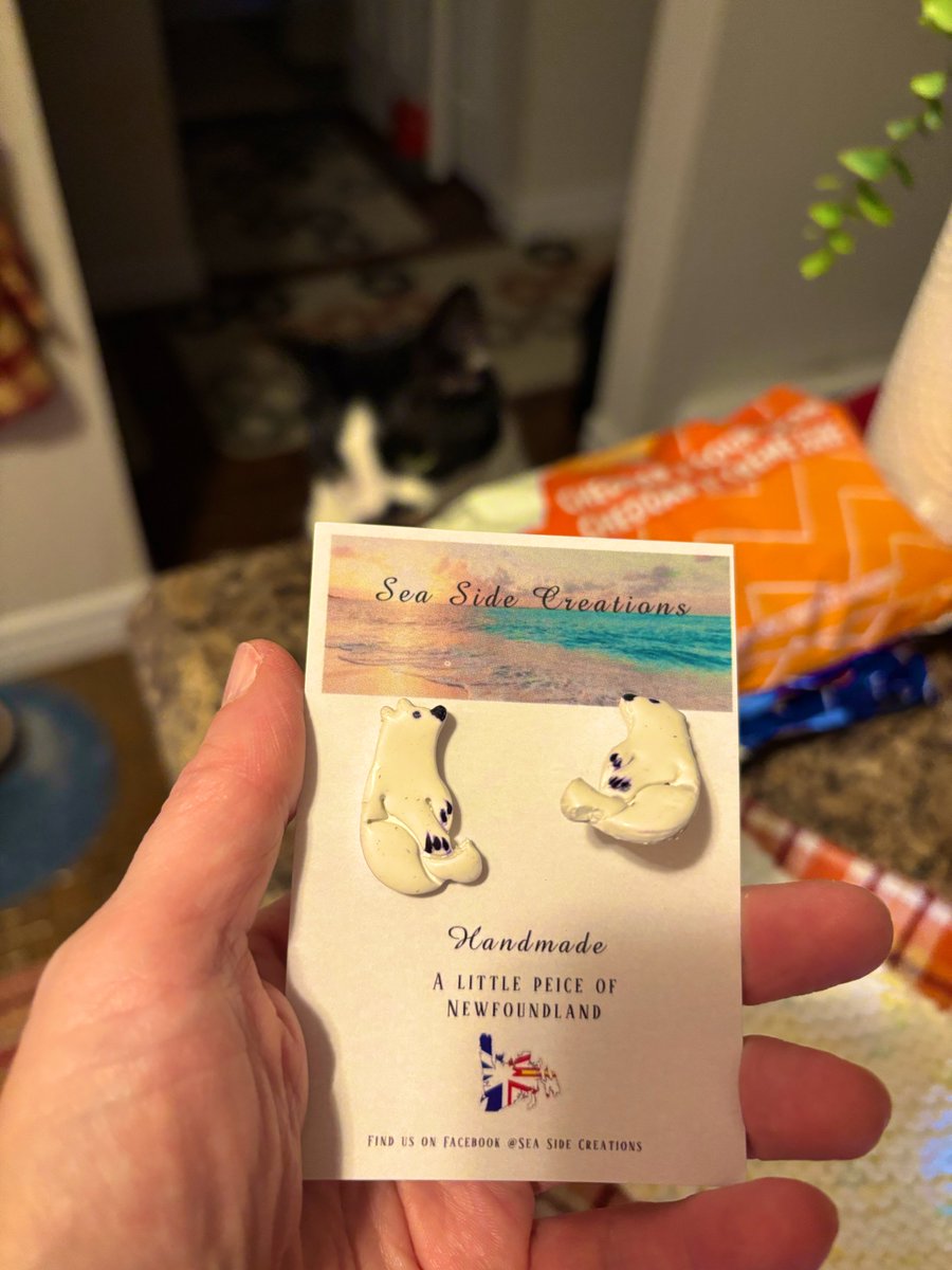 dawn_kimmy_nl's tweet photo. I got these cute local made Labrador polar bears today at the craft fair!
#localmade https://t.co/WkjJVhpEfK
