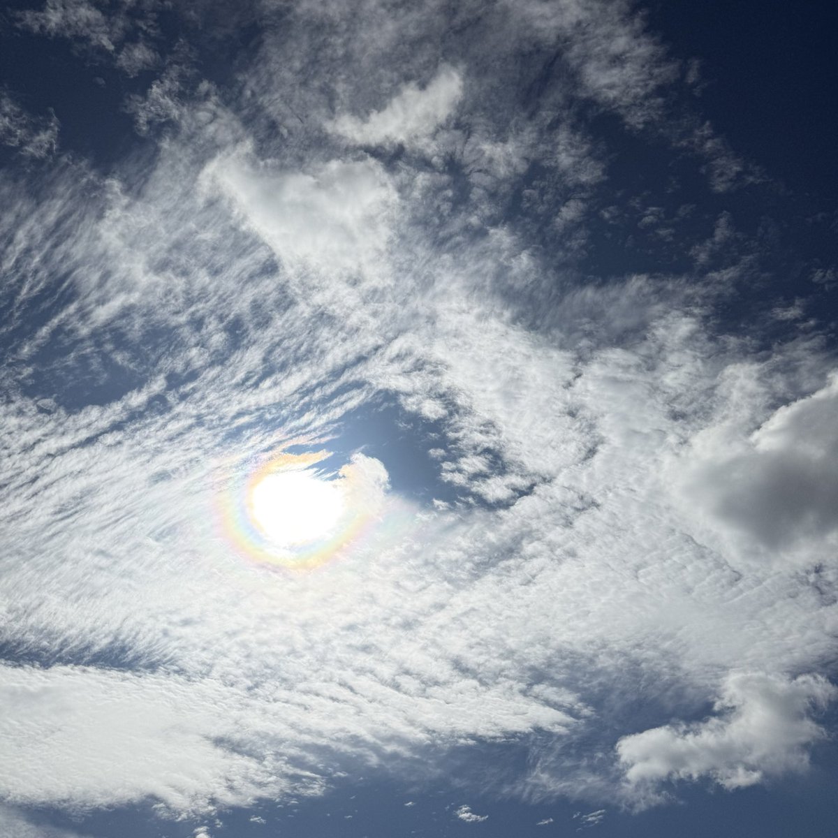 めちゃくちゃあったかい！
仙台と10度も違うとか同じ日本かよ
また急遽の予定、デートするぅ🫶🏻