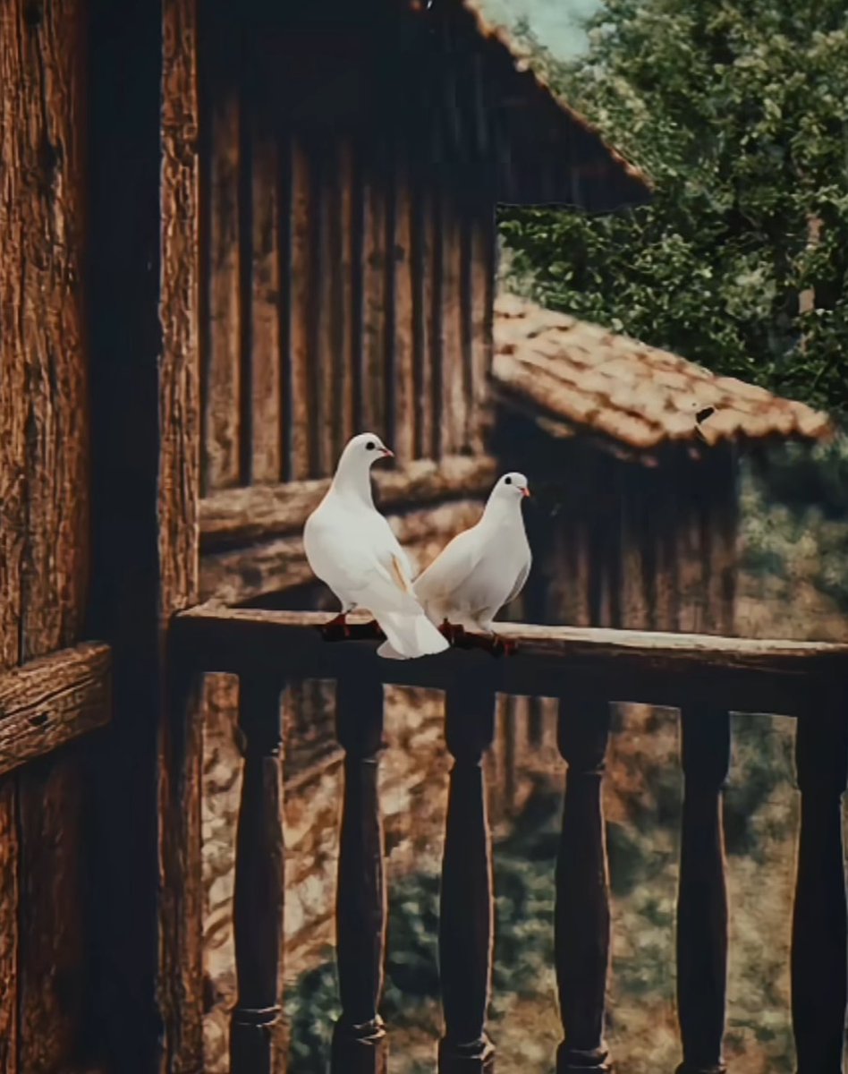 أعظم النعم في الحياة راحة البال
إن شعرت بها فأنت تملگ كل شيء ❤️🦋

#صباح_الخير