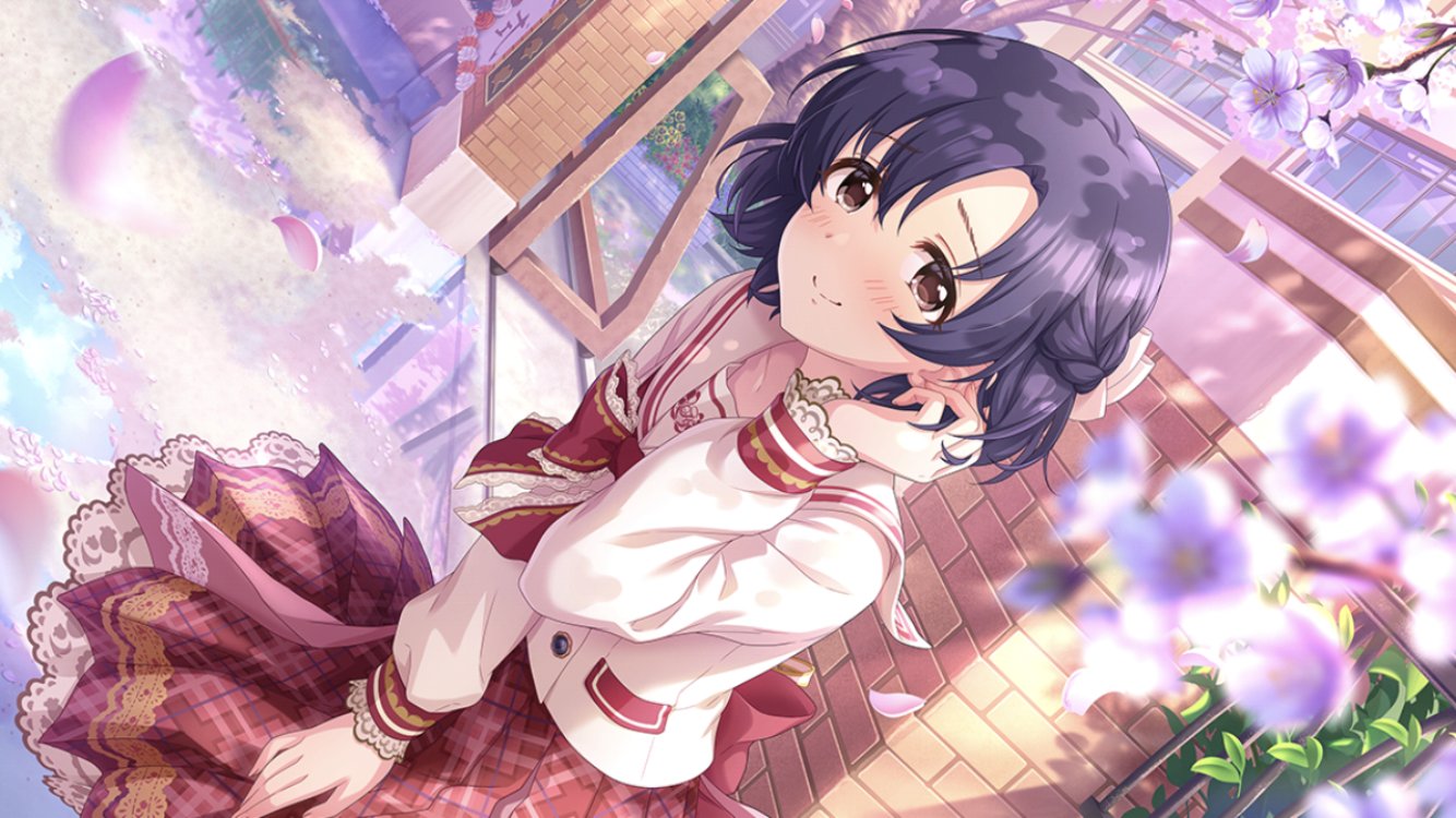 ✨✨✨姫アセロラ【◎美らさん　良品素材】検/old tree aserora 🤵