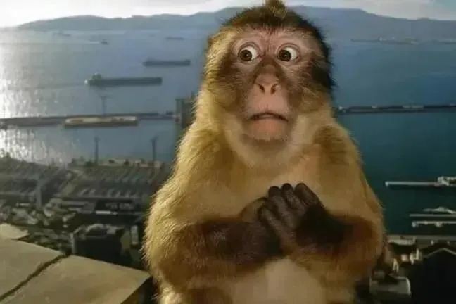 devannshie's tweet image. moletwt again and again