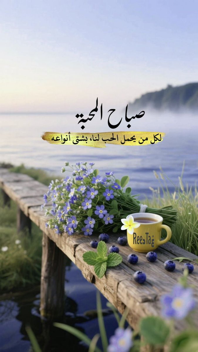 صباح المحبة
لكل من يحمل الحب لنا بشتى أنواعه..
#صباح_الخير
#صباح_الخير_والسعاده
#صباح_الخير_والسعاده_للجميع
#صباح_الأشياء_المُشرقة