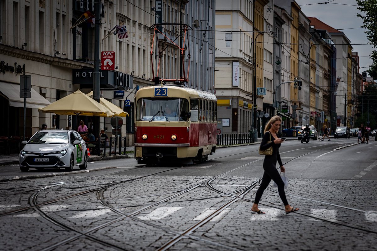 Meandering Max tweet media