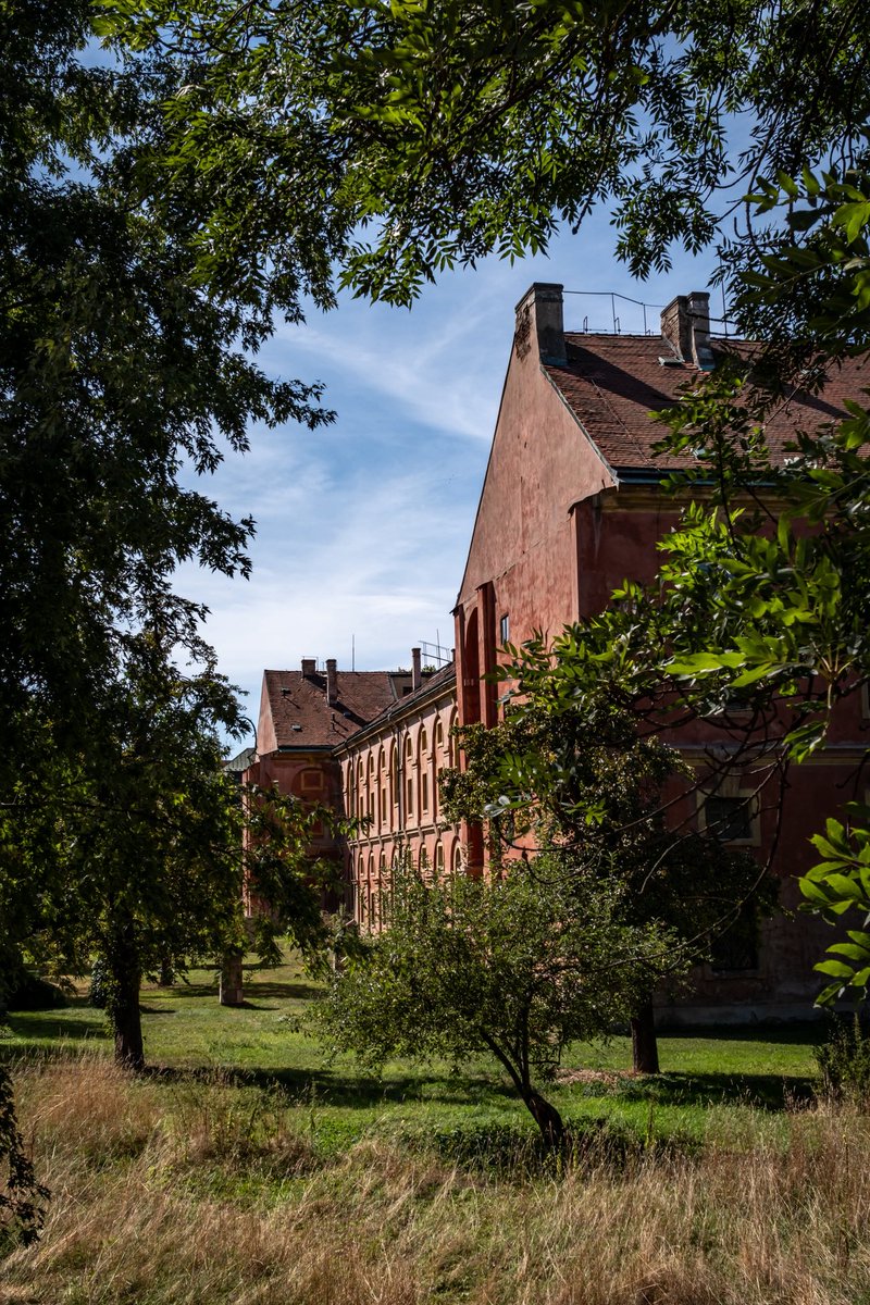 Meandering Max tweet media