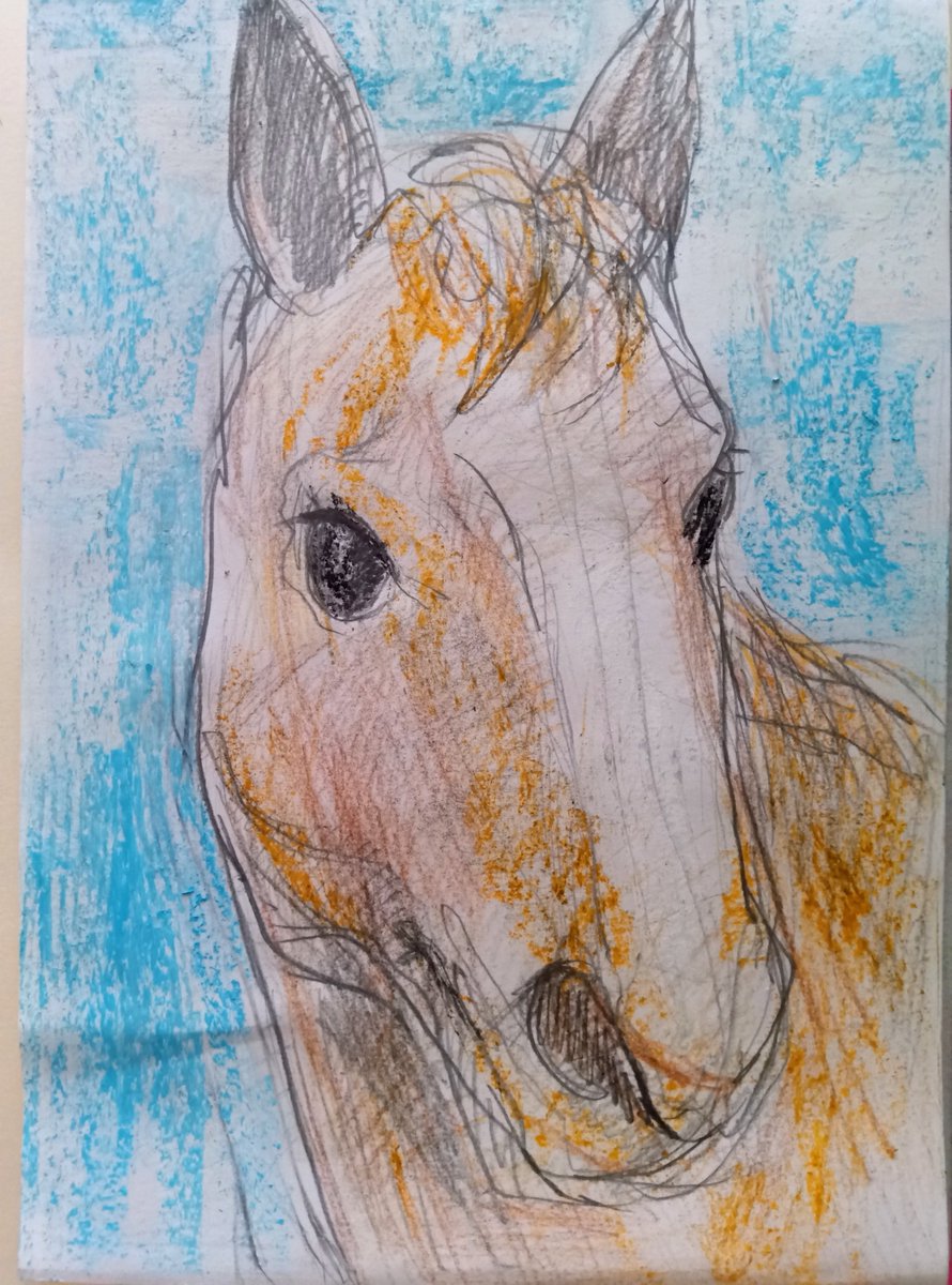 ひーちゃん on X