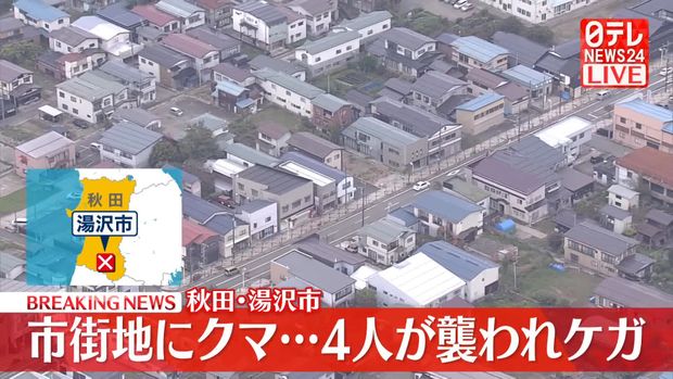 livedoornews's tweet image. 【居座る】市街地にクマ、4人が襲われけが 秋田・湯沢市
news.livedoor.com/lite/article_d…
秋田県内では、20日朝だけであわせて6人がクマに襲われ、けがをしている。4人が被害に遭った湯沢市では、街中にクマがとどまり続けていて、市や警察、地元の猟友会が対応に当たっている。